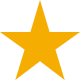 Google Review Icon