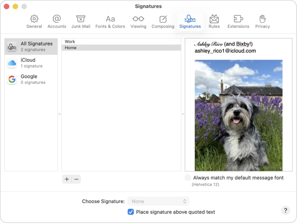 Apple Mail email signature